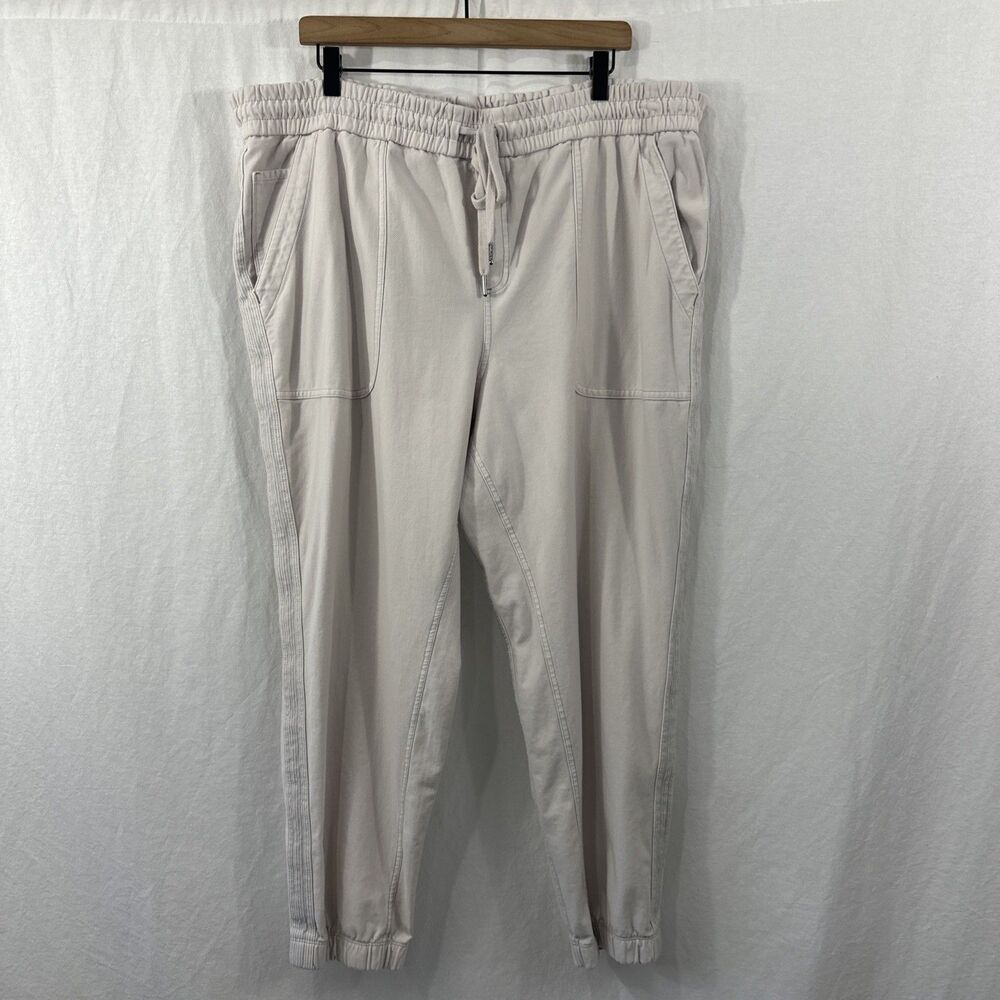 Athleta Farrallon Birch Gray Travel Hiking Outdoor Jogger Pants Womens Sz 22